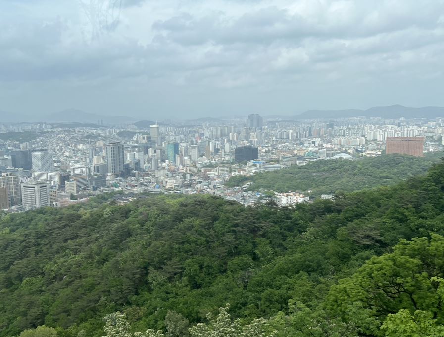 수요의 가격탄력성 결정요인