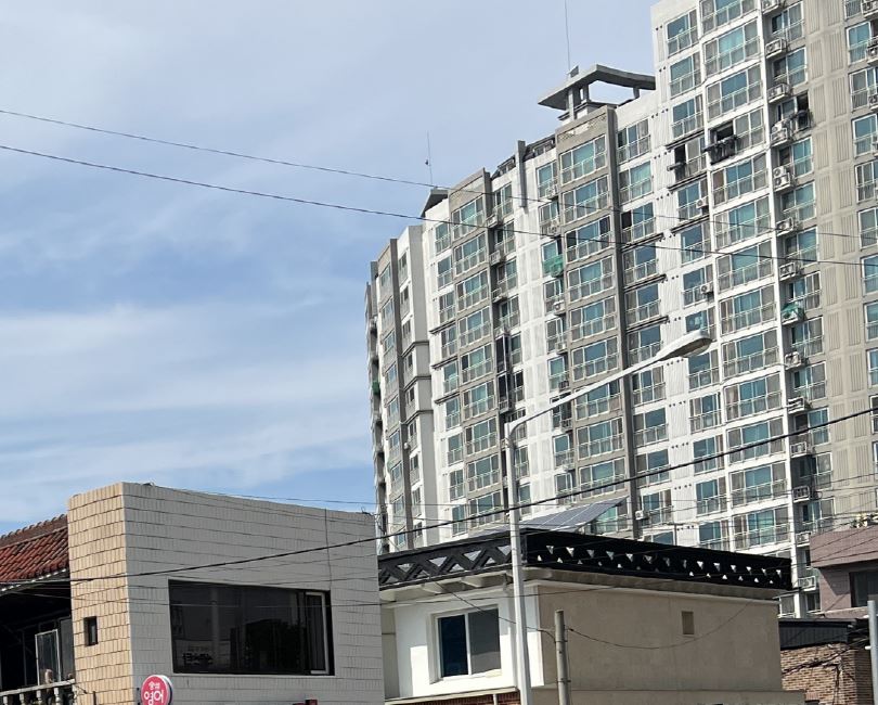 투기적 부동산매매, 무허가 건설이나 불법적인 건축 활동등이 부동산 질서 교란 행위