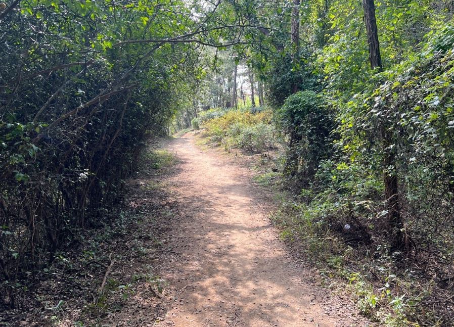 도시를 떠나서 시골에서 생활하면 장점과 단점 알아보겠습니다