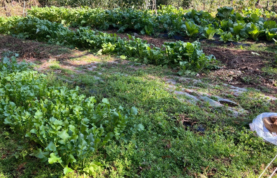 농사 짓는 땅, 농지 매수 하실 때 주의할 점 알아보겠습니다