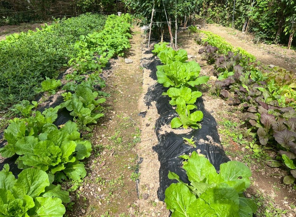 땅 매수, 좋은 토지 찾는 방법 알아보겠습니다