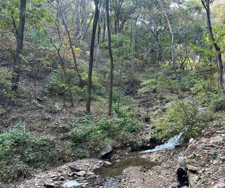 임야개발 방법, 임야를 활용하는 방법 알아보겠습니다