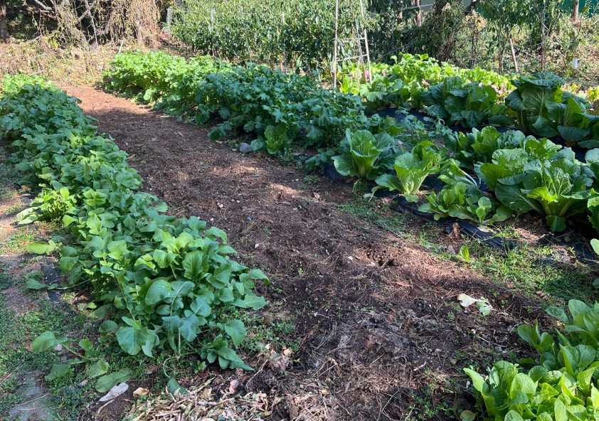 주거지 에서 멀리 떨어진 토지 관리 방법 알아보겠습니다