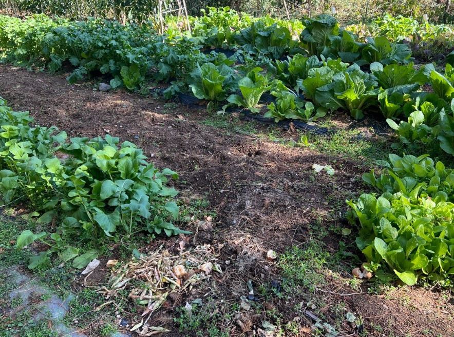 토지 투자, 땅 투자 잘하는 방법 알아보겠습니다